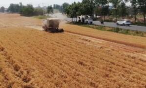 我国小麦收获过七成 夏种陆续展开