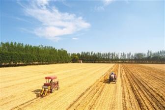 中国政策性农业保险扩容提速 为农民撑起防护网