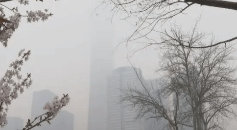 5月北京PM2.5平均浓度33微克/立方米 优良天占比超八成