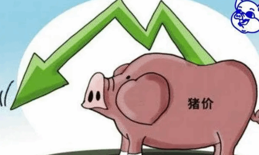 统计局：6月中旬生猪（外三元）价格环比上涨3.8%