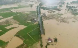 应急管理部：7月东北、华北、华南等地洪涝灾害风险高