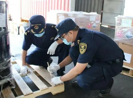 上半年海关截获173种检疫性有害生物