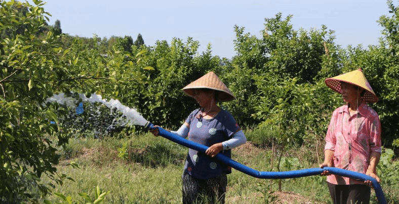 重庆启动抗旱Ⅲ级应急响应 多举措抗旱保水