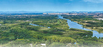 北京推进新型集体林场建设：林木管护好 群众享实惠