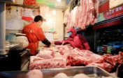 国家发改委：指导各地加大力度投放地方政府猪肉储备