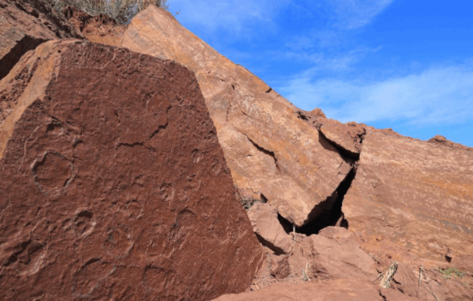 福建发现大面积对板保存的恐龙足迹化石