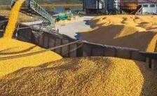 我国粮食产量连续8年站稳1.3万亿斤台阶