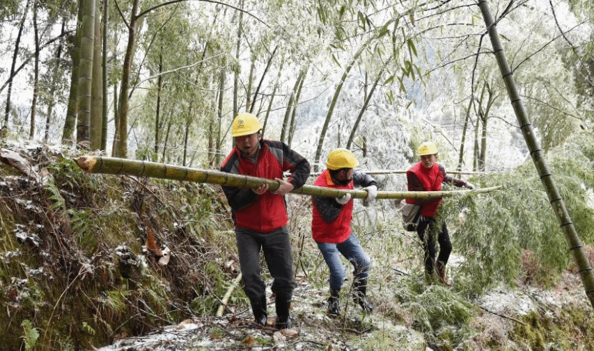 南方多地气温创新低 各地启动应急全力保障生产生活