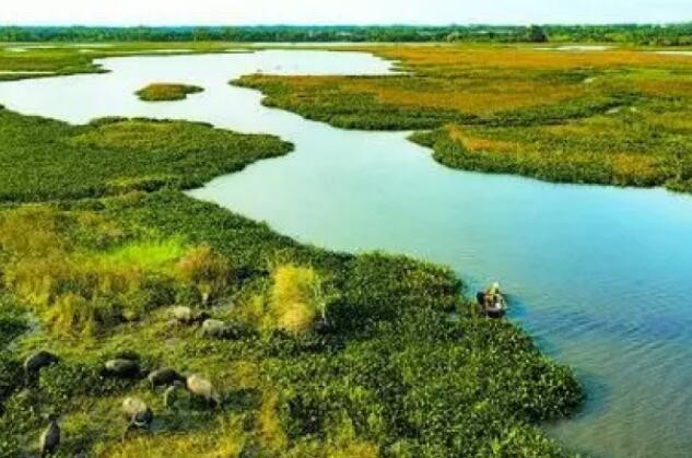 我国湿地面积达5635万公顷 初步建立湿地保护体系