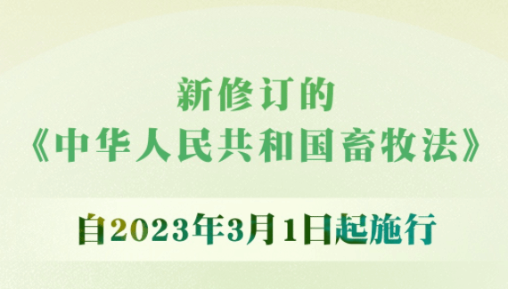 新修订的畜牧法3月1日起施行 促进畜牧业高质量发展