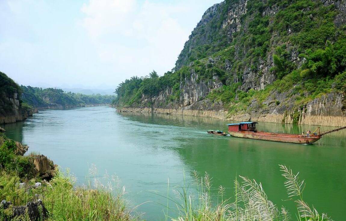 珠江流域红水河珍稀鱼类保育中心成立