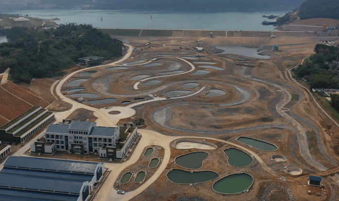 珠江流域红水河珍稀鱼类保育中心成立