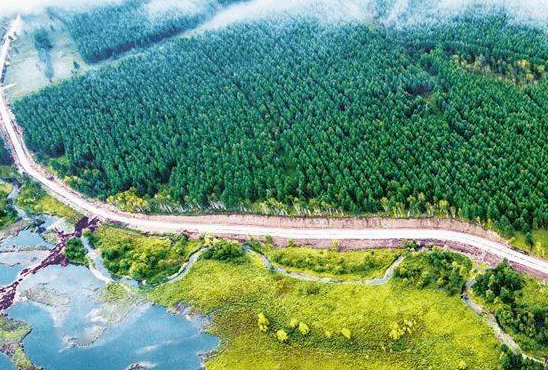 中国天然氧吧地区总面积已超90万平方公里