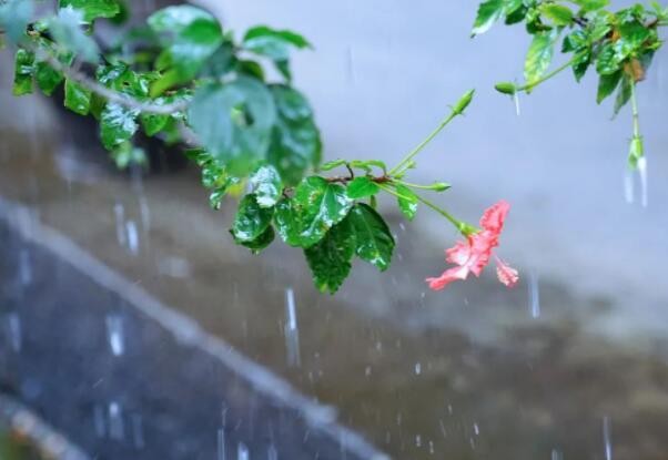 江南等地春雨绵绵体感湿凉 北方大部将开启升温模式