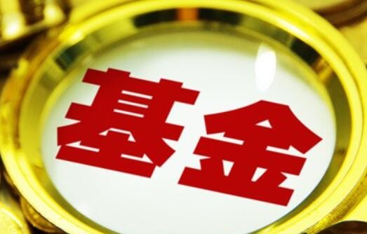 首批基金年报透露投资圈哪些秘密