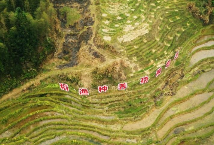 昔日抛荒田 今朝春耕忙——闽北山垄田改造复耕一线见闻