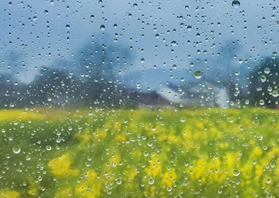 暴雨蓝色预警：9省将现大到暴雨 安徽江西等地部分地区有大暴雨