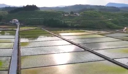 全国春播粮食近四成 进度快于去年