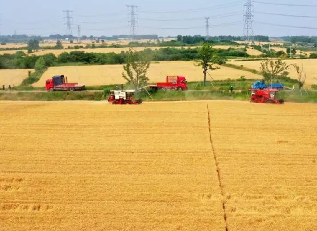 农业农村部部署“三夏”小麦跨区机收和机械化生产