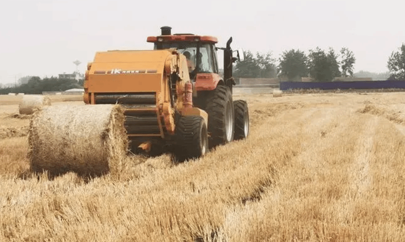 安徽4200多万亩小麦抢收 夏粮有望实现“二十连丰”