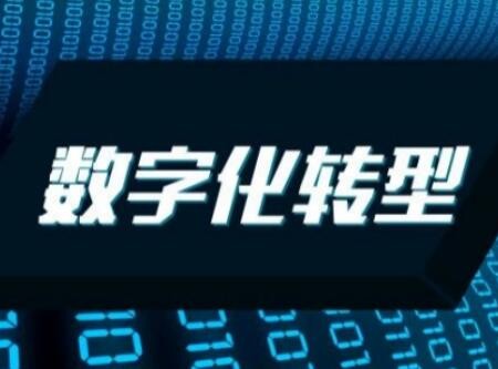 数字化转型步入快车道 产业生态体系不断完善