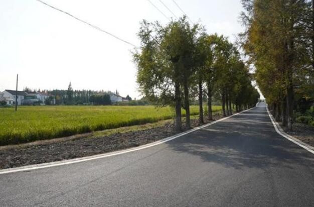 今年1至8月我国新改建农村公路9.7万公里