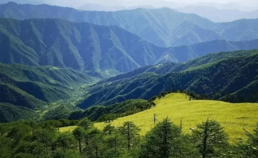 陕西推进秦岭生态环境保护修复严格监管执法