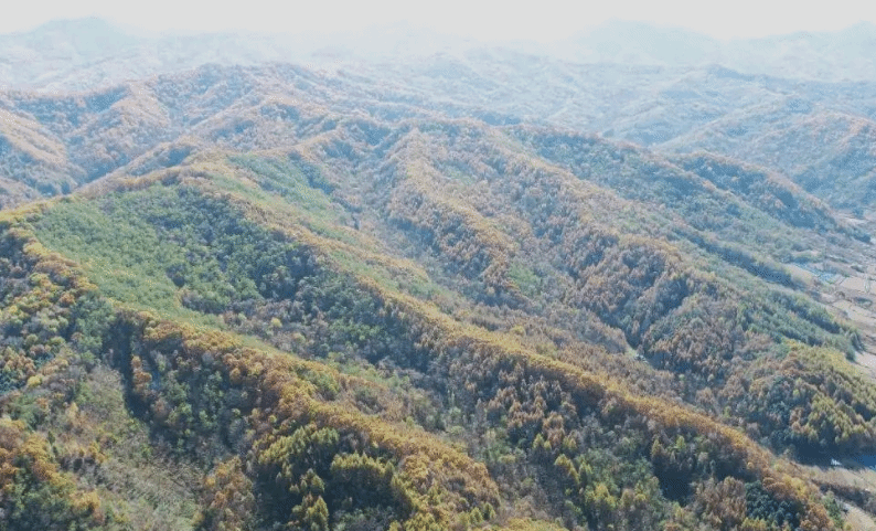 吉林发现一处超大型含钾岩石矿床