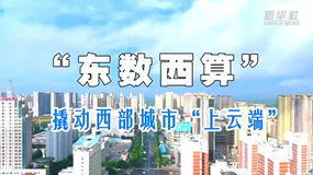 “东数西算”撬动西部城市“上云端”