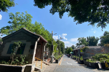 “不停车胡同”折射城市治理智慧