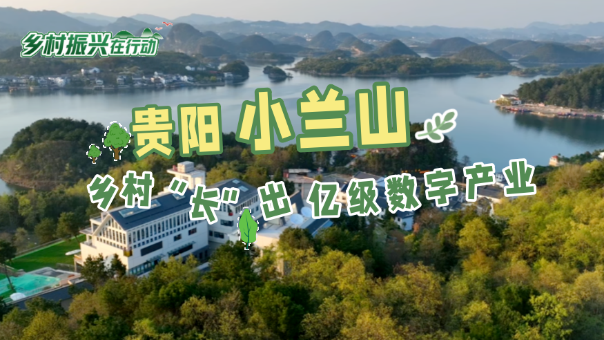乡村振兴在行动丨贵阳小兰山：乡村“长”出亿级数字产业