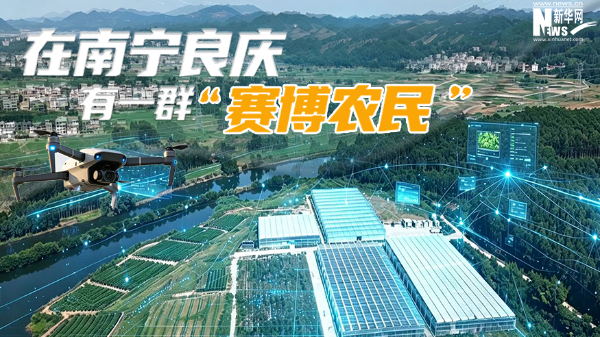 数智润乡村丨在南宁良庆 有一群“赛博农民”