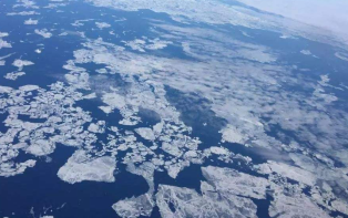 美国取消禁止中国航空公司飞往美国的计划