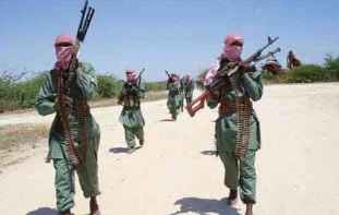 尼日利亚军方：尼军队打死至少16名武装分子