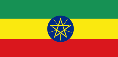 埃塞俄比亚政府军打死550名提人阵武装人员