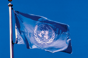 联合国妇女署：新冠疫情加剧了性别不平等