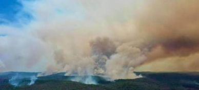 已烧7周！林火侵袭澳大利亚世界自然遗产岛屿