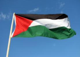 巴勒斯坦表示反对借涉新疆问题干涉中国内政