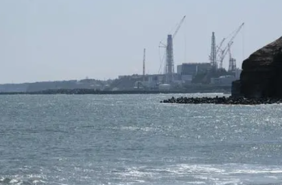 福岛县海域鱼类因放射性物质超标被禁止上市