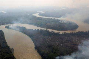 潘塔纳尔湿地火灾严重 巴西一州进入紧急状态