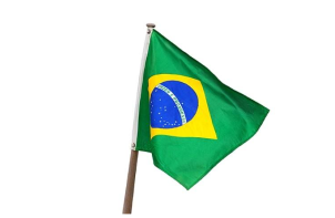 巴西新冠确诊病例破440万 国会众议长确诊感染