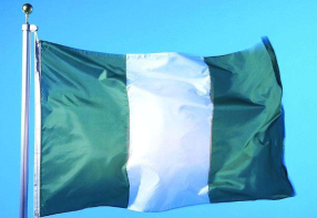 尼日利亚地方政府车队遭袭击 造成11人死亡
