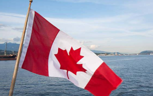 加拿大部分省将放松限令 新冠死亡病例逾2.5万