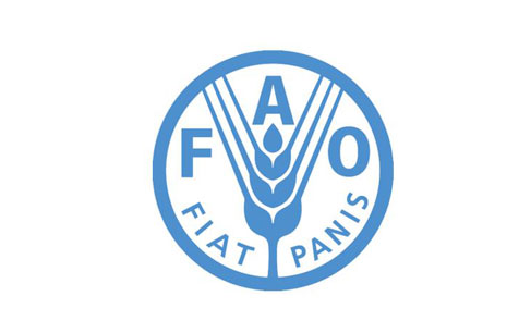 联合国粮农组织：全球食品价格一年来首次环比回落