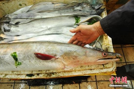日本把海参鲍鱼和鳗苗流通列入管制对象以防偷捕