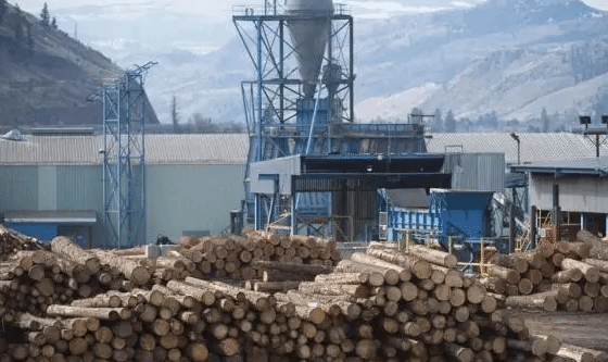 美针对加拿大部分软木产品设定高关税 加方表示失望