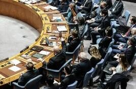 联合国安理会未通过关于乌克兰局势的决议草案