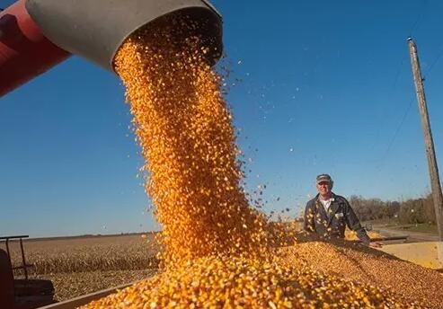 俄乌冲突增加全球粮食供应风险 价格继续上涨
