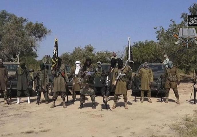 尼日利亚武装分子袭击村庄 至少16名村民被杀