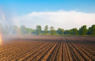 欧盟临时启用休耕地保障粮食安全